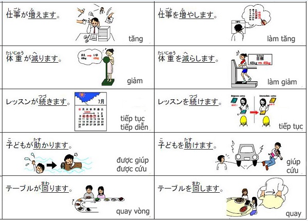 Cách chia động từ trong tiếng Nhật