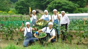 Tu nghiệp sinh Nhật Bản ngành Nông nghiệp 2018 có tốt không?