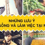 luu-y-khi-song-va-lam-viec-tai-nhat-ban