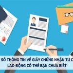 giay-chung-nhan-tu-cach-lao-dong