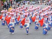 Khám phá những lễ hội mùa xuân tại Nhật Bản