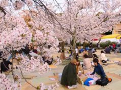 Khám Phá 7 Dấu Ấn Văn Hóa Truyền Thống Độc Đáo Của Nhật Bản