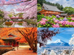 Bốn mùa Nhật Bản: Những trải nghiệm chỉ có ở xứ Phù Tang