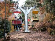 Đi du học Nhật Bản nhớ thăm núi Takao tại Tokyo